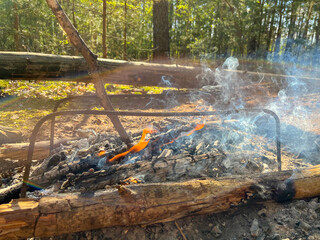tourists lit a bonfire in the forest at a rest stop
