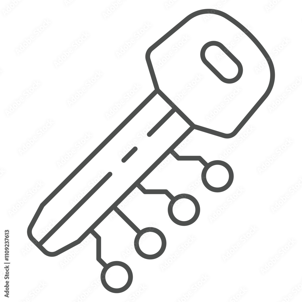 Poster electronic key with connections thin line icon, digital security concept. vector graphics. key sign 