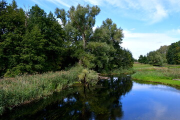 A view of a shallow yet vast pond or lake flowing next to vast fields covered with herbs, reeds, and various crops located next to some tiny forests and moors spotted on a cloudy summer day in Poland
