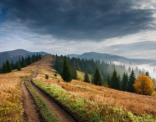 Obraz premium hazy and overcast early morning in autumn carpathian mountains and dirty countryside path ukraine