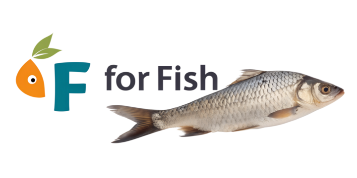Text "F for Fish" with a photo of Fish isolated in a transparent background or white background. Perfect for kids book, book cover, educational materials preparation.