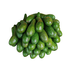Thailand avocado fruit white background