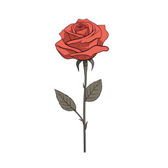 Minimalist illustration of a single piece of rose on a transparent