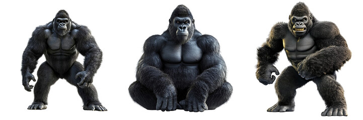Fototapeta premium Set of a gorilla, isolated on a transparent background.