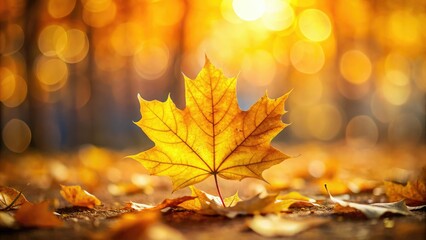 Autumn Leaves Background - Yellow Maple Leaf on Blurred Texture for Fall Season Card, Golden Autumn Aesthetic, Nature Inspiration, Seasonal Decor, Cozy Vibes
