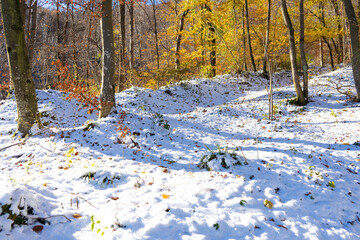 paesaggio giallo e bianco
