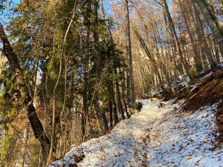 Wonderful winter hiking trails and traces over the Lake Walen or Lake Walenstadt (Walensee) and in the fresh alpine snow cover of the Swiss Alps, Walenstadtberg - Canton of St. Gallen, Switzerland