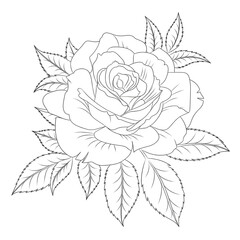 vector rose flower coloring page line art 