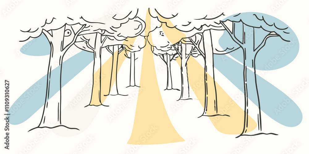 Poster Play of Light and Shadow The scene showcases the interplay between light and shadow along the trail where beams of sunlight peek through gaps in the tree branches creating a sacred