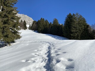 Obraz premium Wonderful winter hiking trails and traces over the Lake Walen or Lake Walenstadt (Walensee) and in the fresh alpine snow cover of the Swiss Alps, Walenstadtberg - Canton of St. Gallen, Switzerland