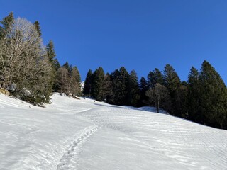 Wonderful winter hiking trails and traces over the Lake Walen or Lake Walenstadt (Walensee) and in the fresh alpine snow cover of the Swiss Alps, Walenstadtberg - Canton of St. Gallen, Switzerland
