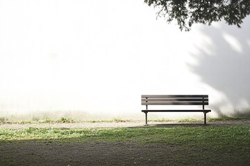 Empty bench in morning mist, evoking solitude and calm