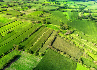 Campos agrícolas em paquenas parcelas separadas por sebes vivas formando um bocage. 