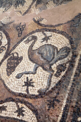 Closeup of an Ostrich depicted in the Petra Church mosaics, Petra Jordan
