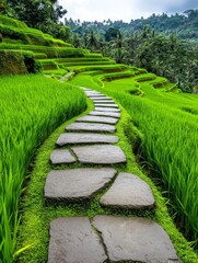 Lush Green Rice Terraces and Stone Path - Serene stone path winding through vibrant green rice terraces, symbolizing peace, nature, journey, growth, and abundance.