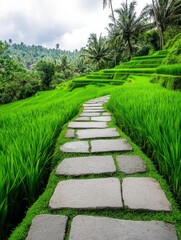 Obraz premium Lush Green Rice Terraces and Stone Path in Jungle - Serene stone path winding through vibrant green rice terraces and lush jungle, symbolizing peace, nature, journey, growth, and tranquility.
