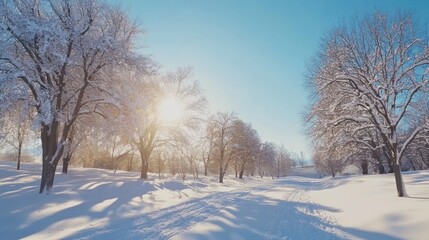 Obraz premium Snowy Forest Path