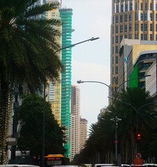 Palma, samochody i wysokie budynki. Dzielnica Makati w mieście Manila. © Adam