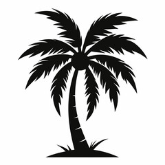 Fototapeta premium Palm Tree vector silhouette black design