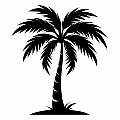 Obraz premium Palm Tree vector silhouette black design