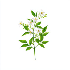 Beautiful illustration of flowering plant with vibrant green leaves and delicate white flowers, showcasing nature elegance and charm
