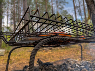 meat is grilled on a barbecue in the forest in nature
