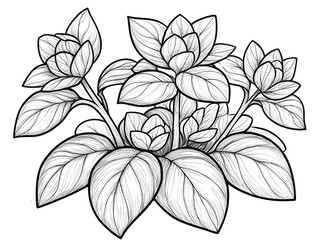A detailed illustration of a cluster of flowers with vibrant leaves, showcasing intricate linework and fluid shapes in a black and white style.