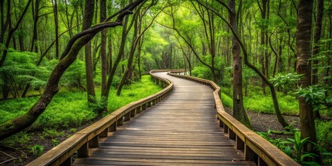 Obraz premium Long boardwalk winding through dense green forest, boardwalk, narrow, lush, pathway, trail, nature, woods, trees, foliage