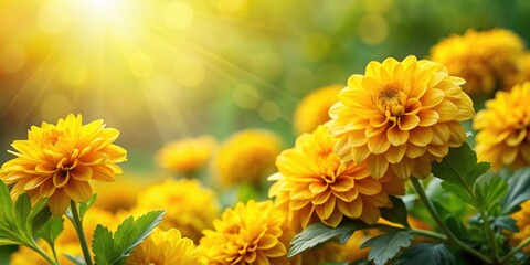 Yellow flowers with vibrant green leaves in the background, yellow, flowers, leaves, nature, garden, spring, bright, sunny, summer
