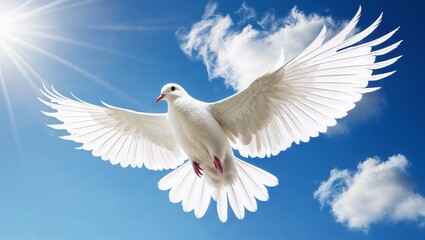 A serene white dove gliding under a radiant sunlit blue sky.