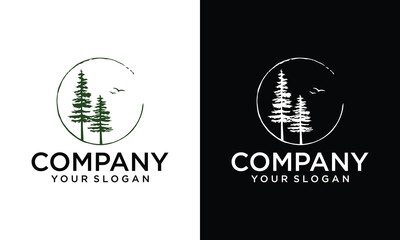 Creative modern pine tree on circle logo design vector silhouette.