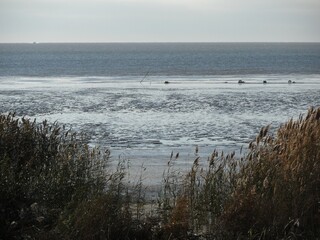 Frozen sea at the end of autumn, low tide