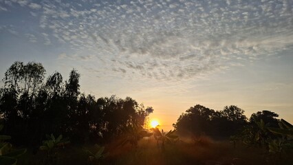 Radiance Awakens: A Peaceful Sky