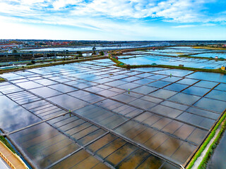 Salinas de Aveiro 