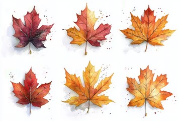 Obraz premium A watercolor illustration of autumn leaves in various colors and styles.
