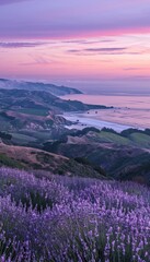 Obraz premium Serene dusk over hills by the ocean with pastel pink and purple skies and blooming lavender fields