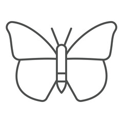 Butterfly insect thin line icon, daydream beauty concept. Vector graphics. Flying insect sign on white background, outline style icon for mobile or web design.