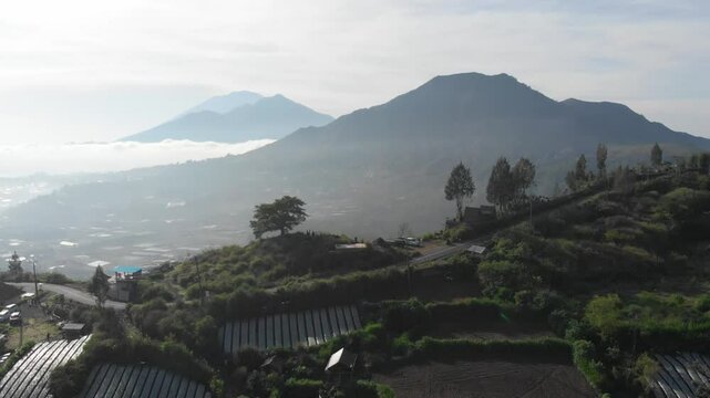view from the top of the hill