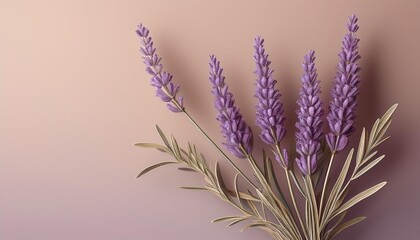Naklejka premium bunch of lavender