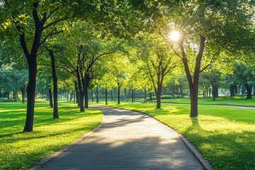 Fototapeta premium Sunlit park path with trees and green grass