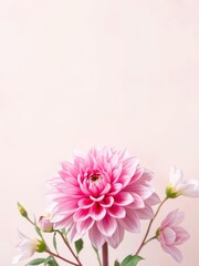 Soft pink dahlia flower surrounded by pastel tones perfect for Valentine's and wedding cards, romance