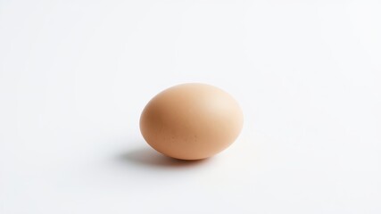 A single brown egg isolated on a plain white background. The egg is perfectly centered in the frame and casts a subtle shadow.