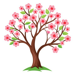 a flower tree on white background