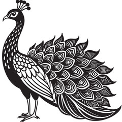 Fototapeta premium A Peacock linocut art vector design on a isoleted white background 