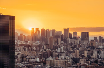 Fototapeta premium Mt. Fuji sunset from Tokyo, Japan