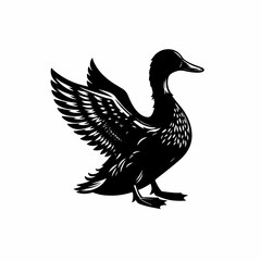 Fototapeta premium duck isolated on white background