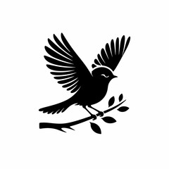 Obraz premium bird on a branch