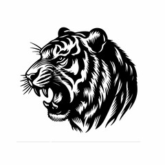 Obraz premium head of a lion