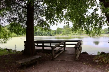 The old wood fishing dock at the lake under the shade tree.