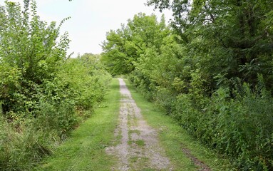 The long empty footpath in the country field.